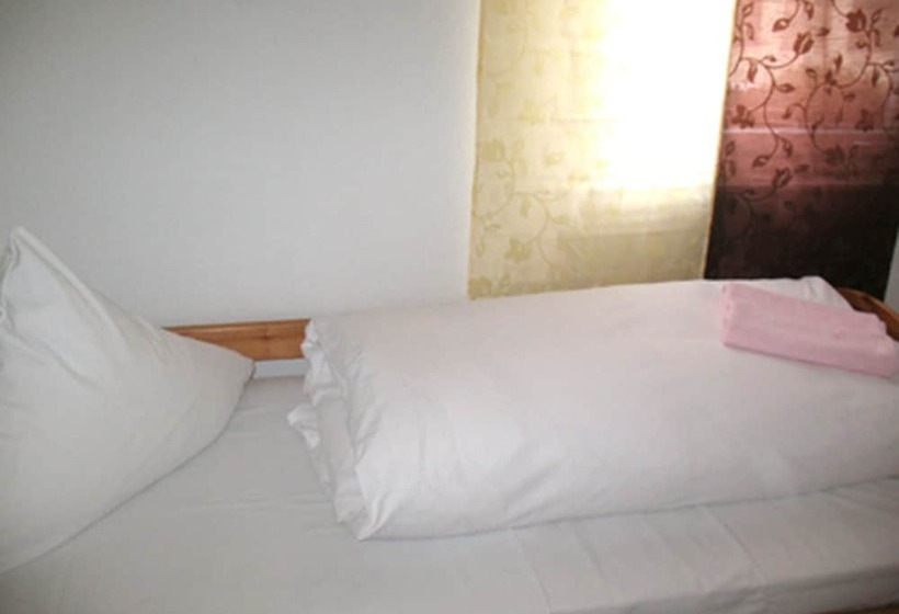 פנסיון Haus Am Cannstatter Wasen