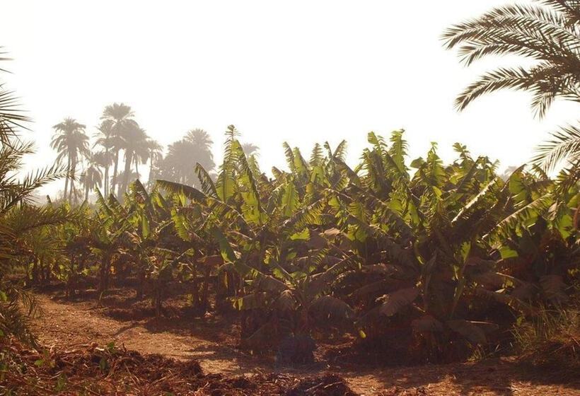 پانسیون Nubian Ecovillage Villa