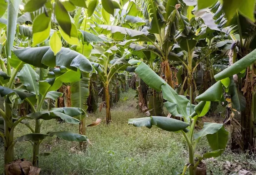 پانسیون Nubian Ecovillage Villa