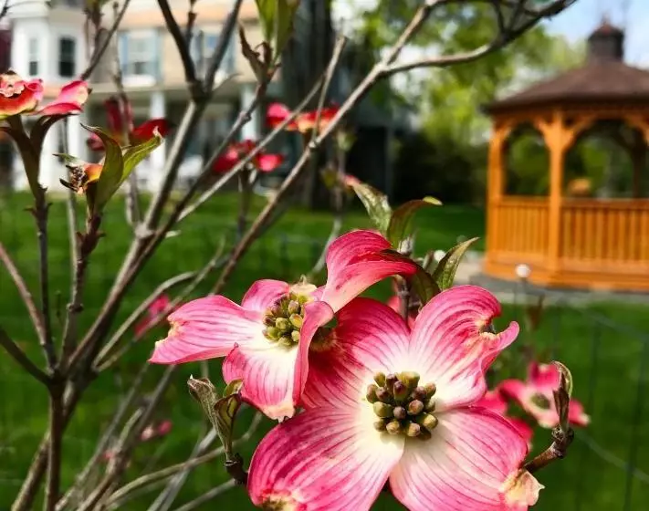 Fox & Hound Bed & Breakfast New Hope