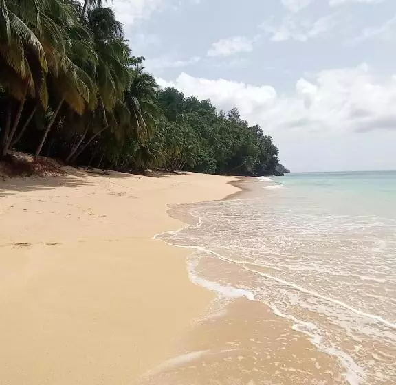 پانسیون Residencial Brigada