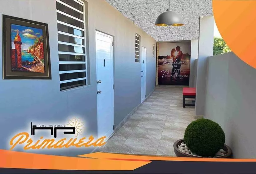 Hospedaje Primavera