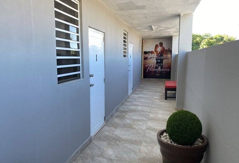 Hospedaje Primavera