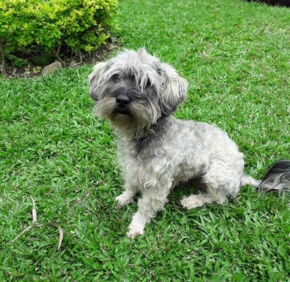 بنسيون Aparthotel Boquete Apartments