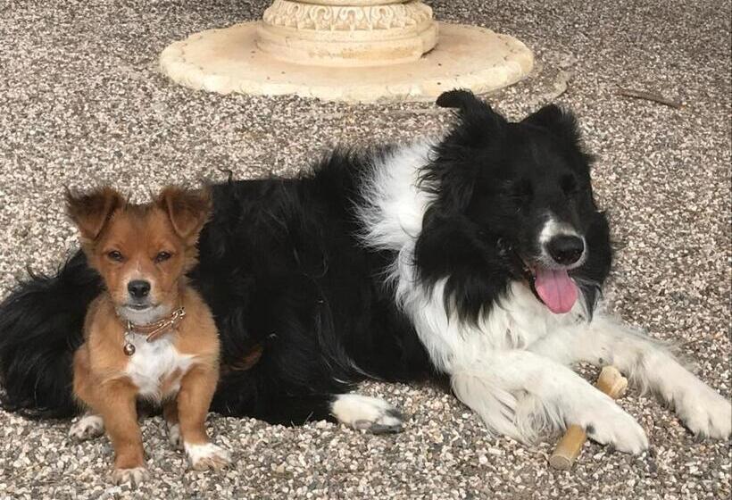 B&b Cortijo El Ciruelo