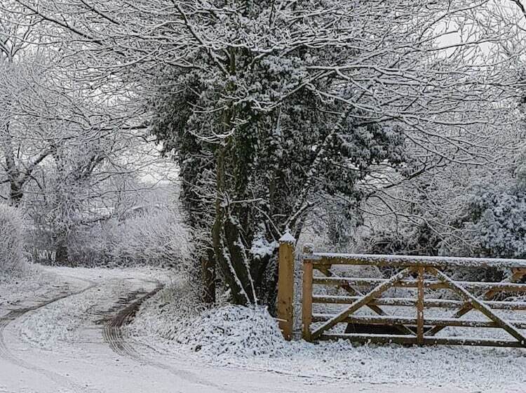 مبيت وإفطار Beech Lane Farmhouse