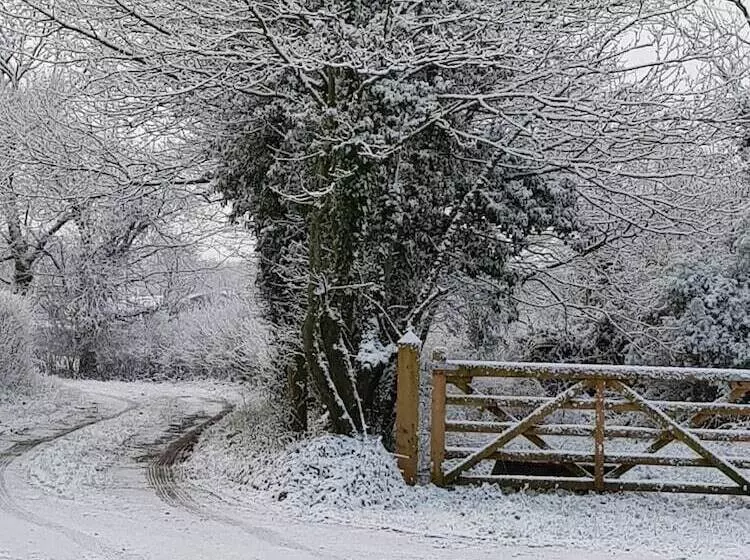 تختخواب و صبحانه Beech Lane Farmhouse