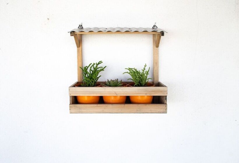 مبيت وإفطار Quinta Da Estrada Winery Douro Valley