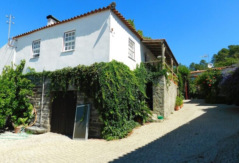 مبيت وإفطار Quinta Da Estrada Winery Douro Valley