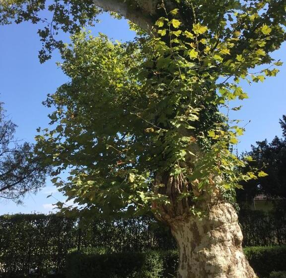 تختخواب و صبحانه Villa Rigatti