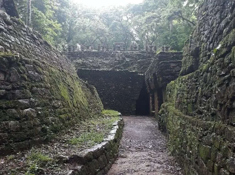 ホテル Centro Ecoturistico Yaajche