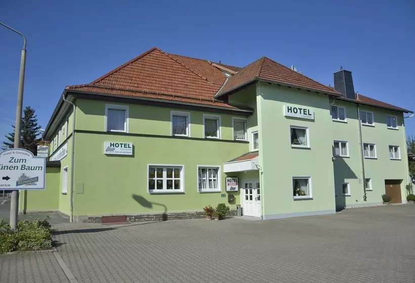 Hotelli Und Gaststätte Zum Grünen Baum