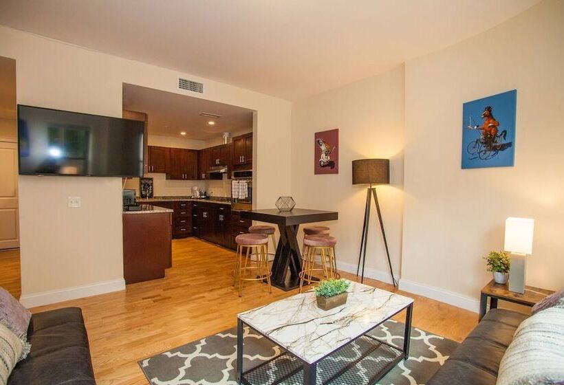 New 4 Bed 2 Full Bath Condo Near Back Bay