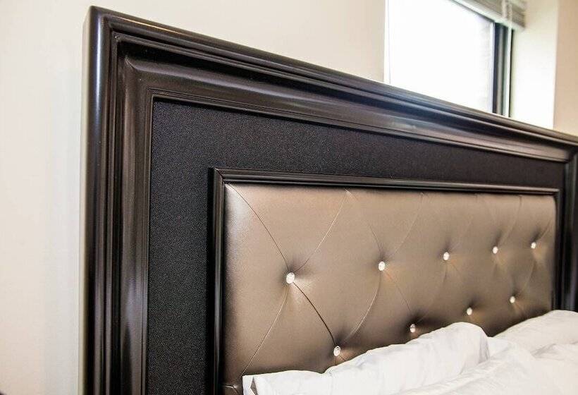 New 4 Bed 2 Full Bath Condo Near Back Bay