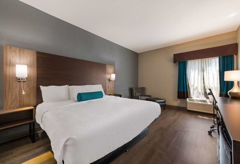 Otel Best Western Albemarle Inn