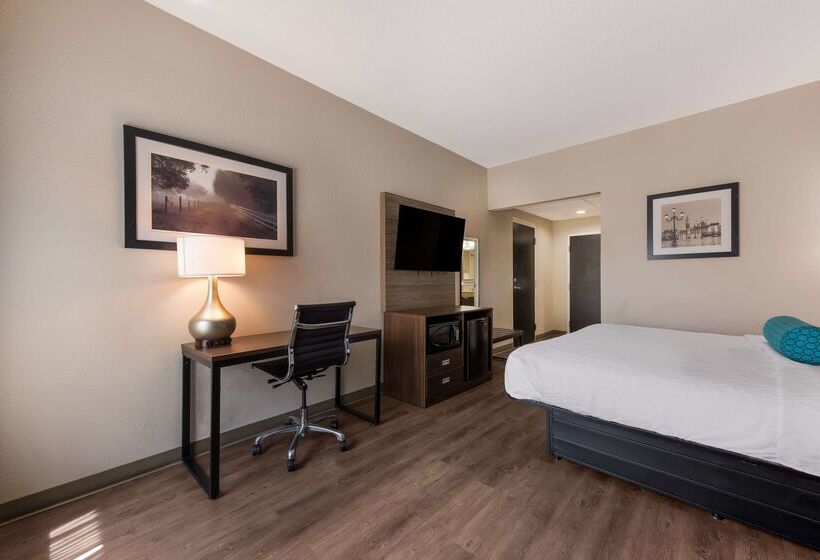 Otel Best Western Albemarle Inn