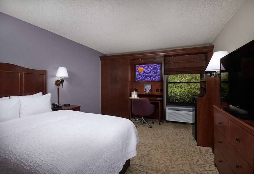 Otel Hampton Inn Clemsonuniversity Area