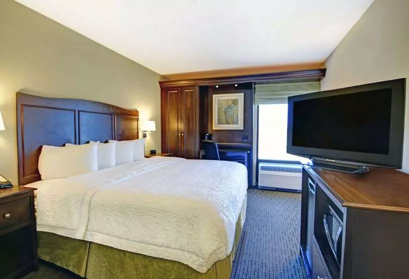 هتل Hampton Inn Kansas City Airport