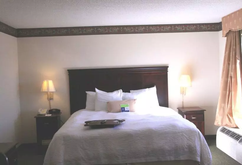 酒店 Hampton Inn Richmondsouthwesthull Street