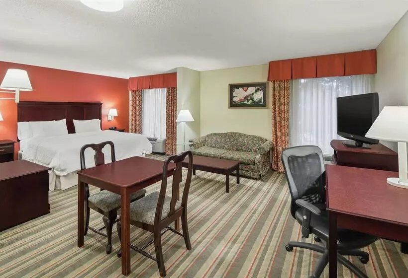 酒店 Hampton Inn Richmondsouthwesthull Street