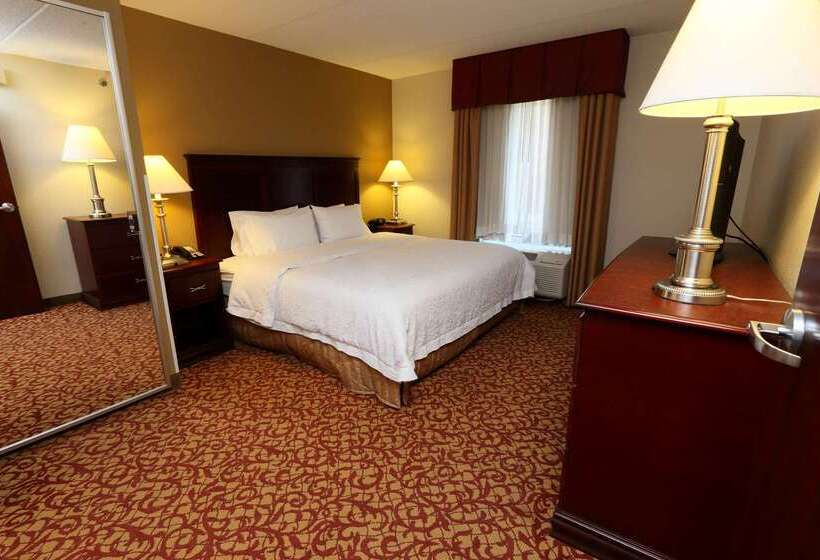 هتل Hampton Inn & Suites Charlottesvilleat The University