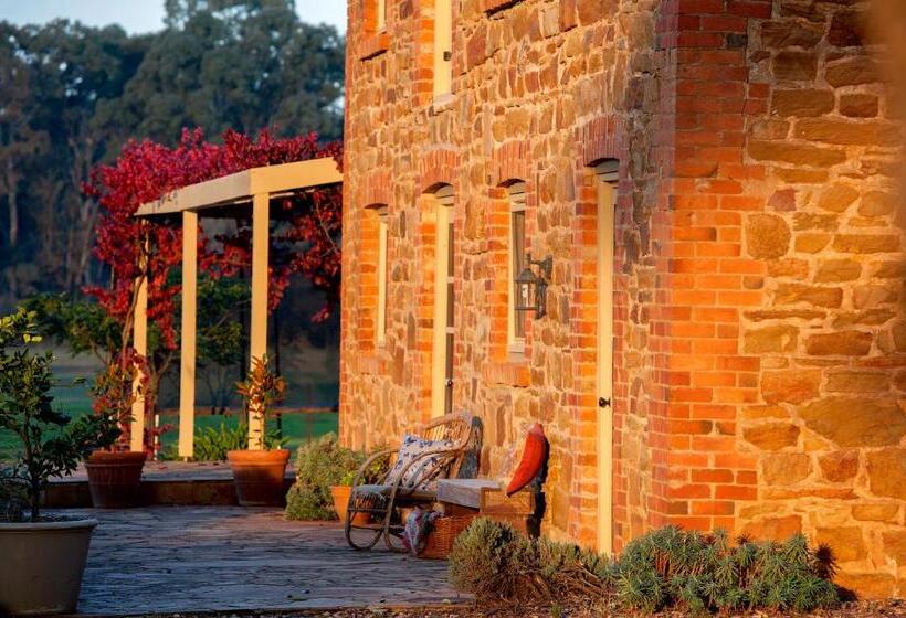 Byronsvale Vineyard And Accommodation