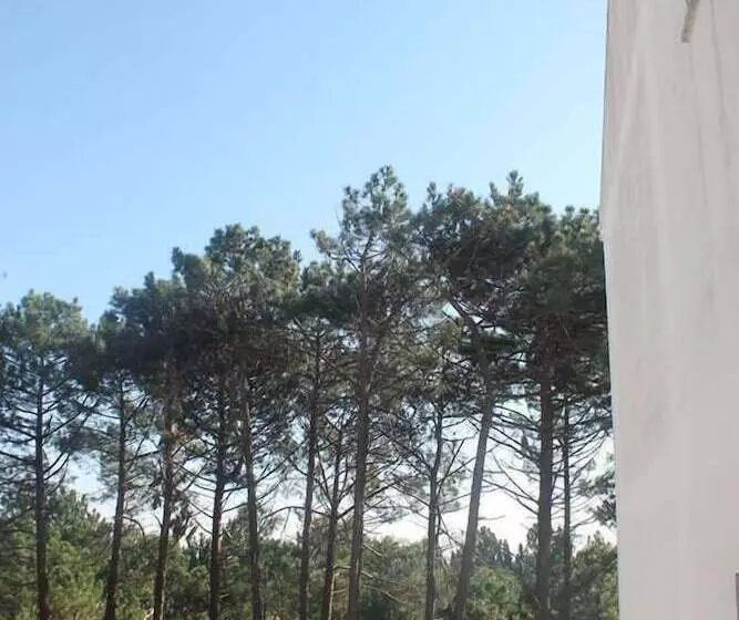 پانسیون Guilhim Guest House