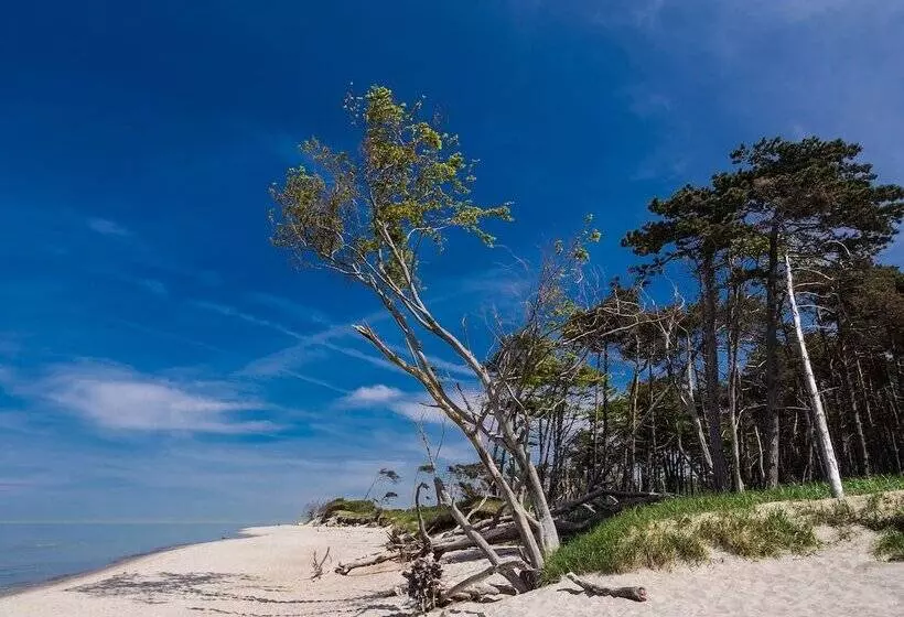 Schwedenglück Prerow