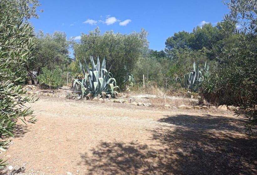 פנסיון Ecoutez Les Oiseaux