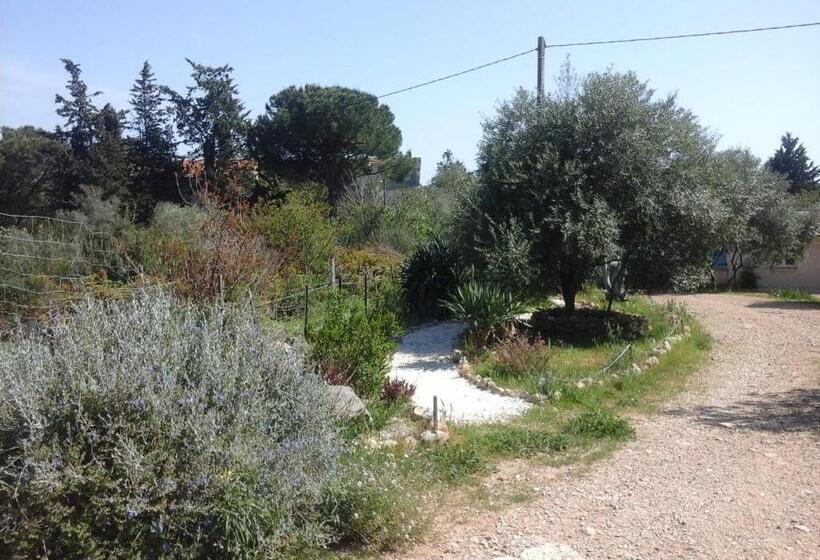 פנסיון Ecoutez Les Oiseaux