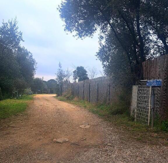 פנסיון Ecoutez Les Oiseaux