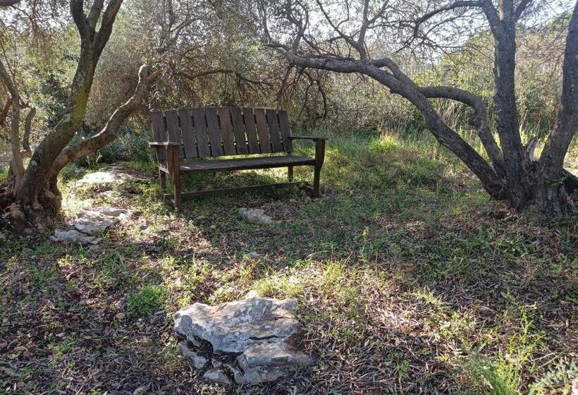 פנסיון Ecoutez Les Oiseaux