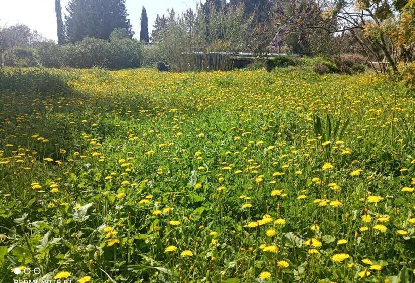 פנסיון Ecoutez Les Oiseaux