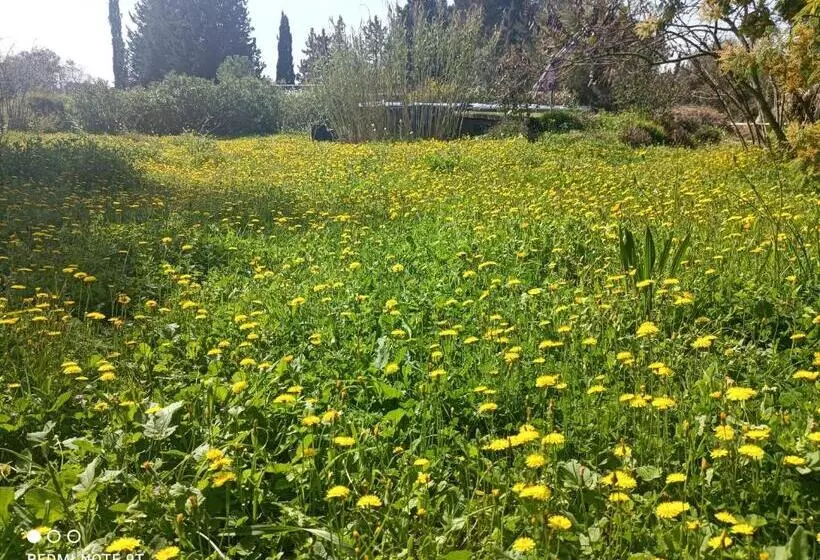 ペンション Ecoutez Les Oiseaux