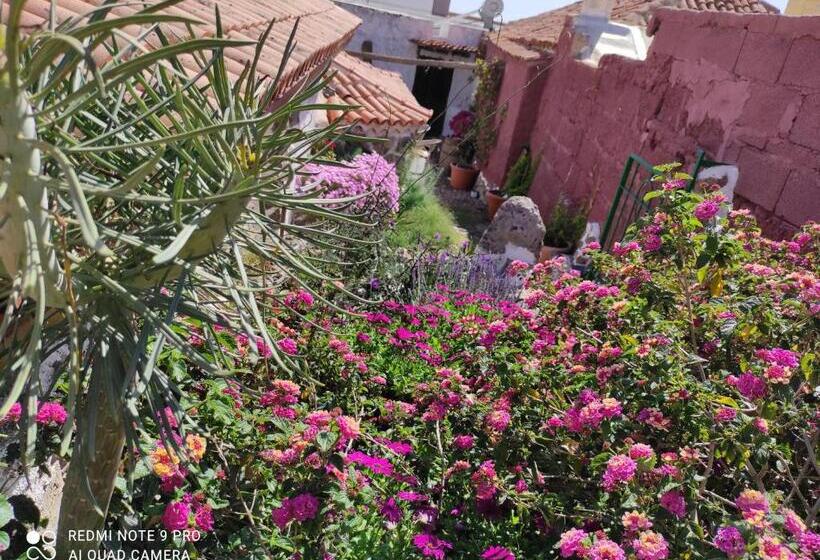 پانسیون I Miti Viviendavacacional