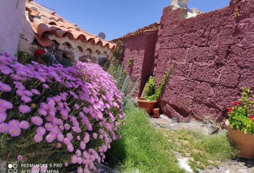 پانسیون I Miti Viviendavacacional