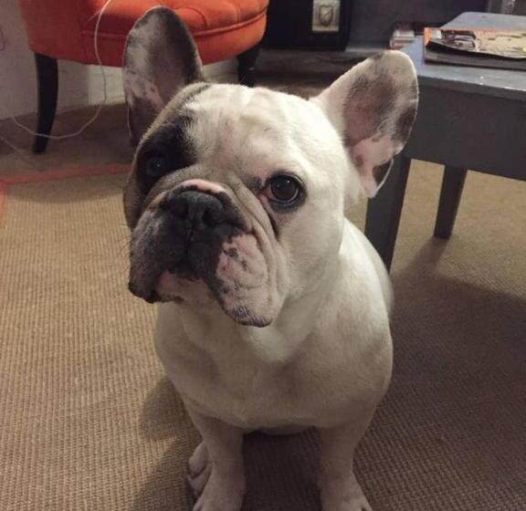 ペンション La Fontasse