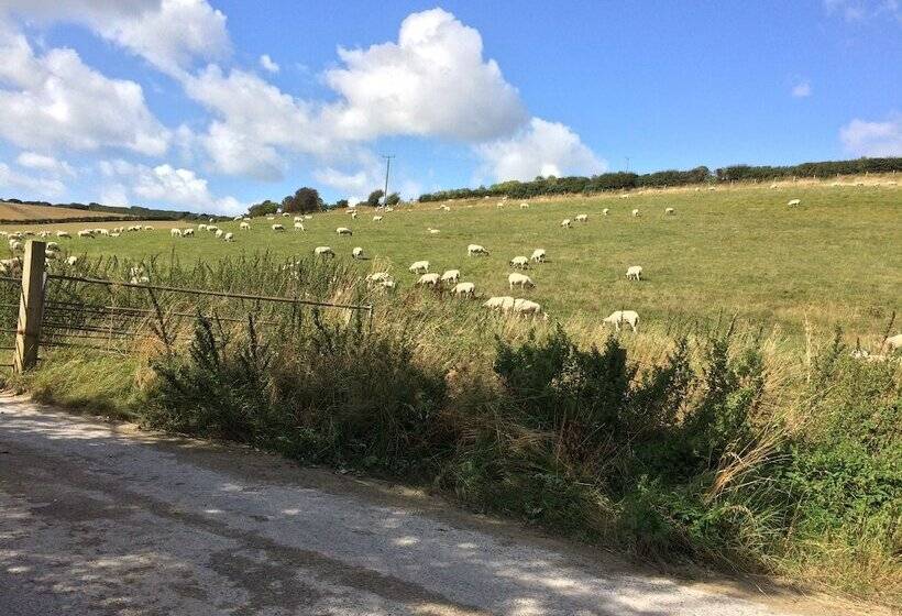 Bed and Breakfast Belhuish Farmhouse