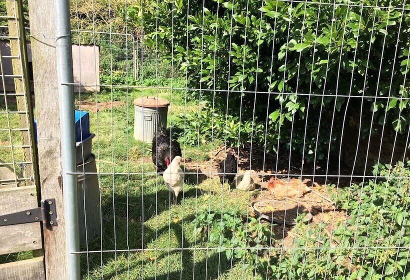 Bed and Breakfast Belhuish Farmhouse