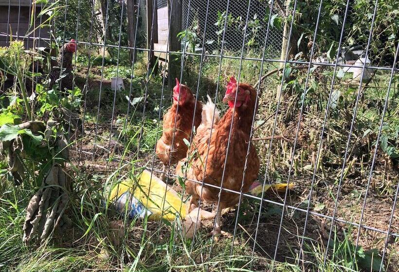 Bed and Breakfast Belhuish Farmhouse