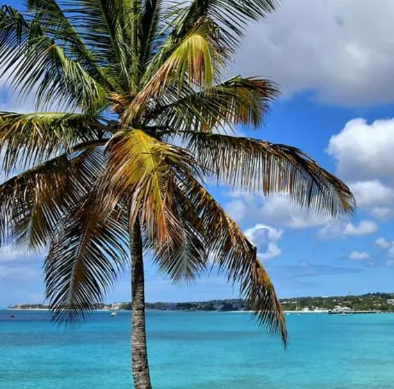 پانسیون Pgs  Surf, Work, Relax