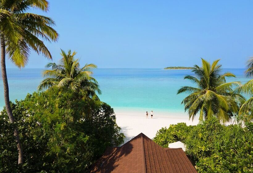 渡假胜地 The Standard, Huruvalhi Maldives