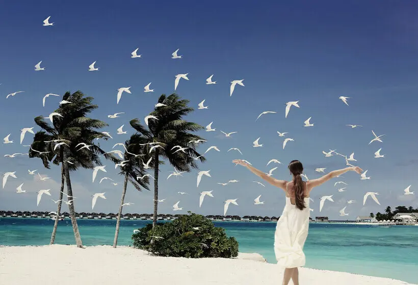 استراحتگاه The Standard, Huruvalhi Maldives