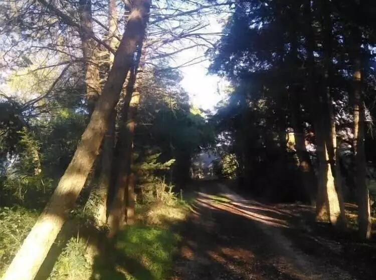 Nature Houses
