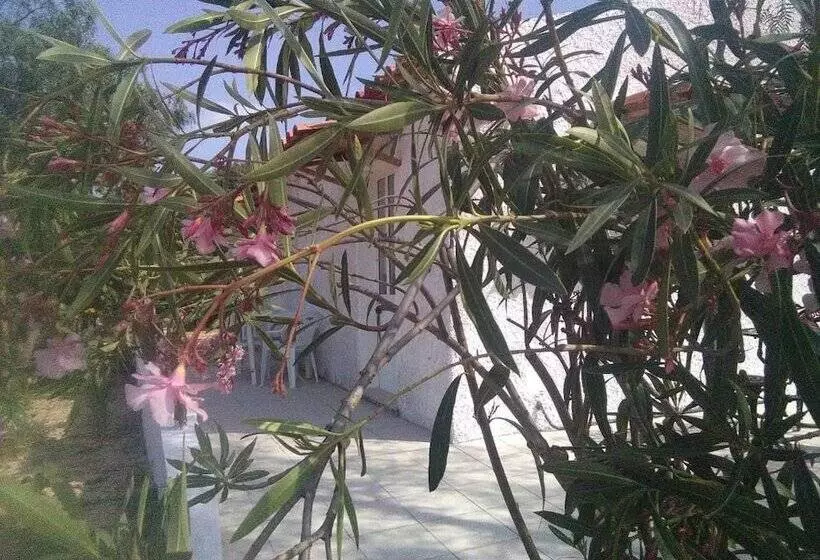 Nature Houses