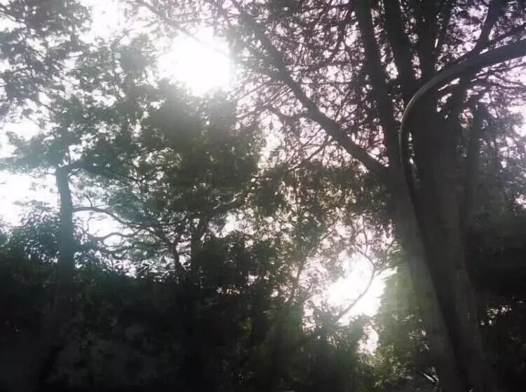 Nature Houses