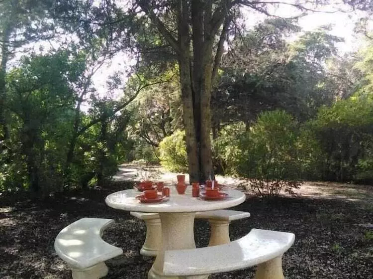 Nature Houses