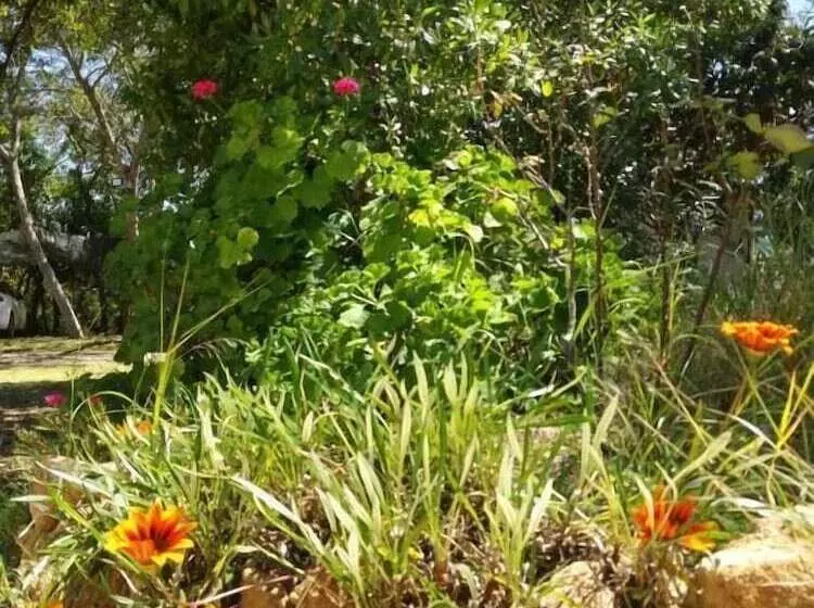 Nature Houses