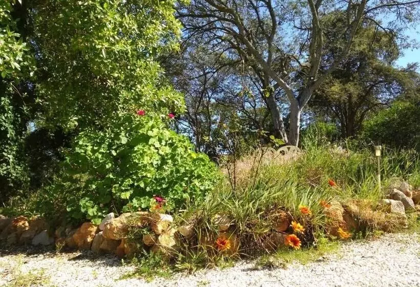 Nature Houses