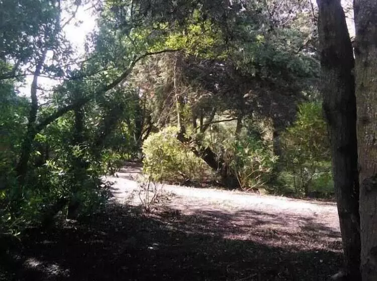 Nature Houses